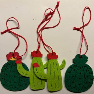 Cactusjes van vilt