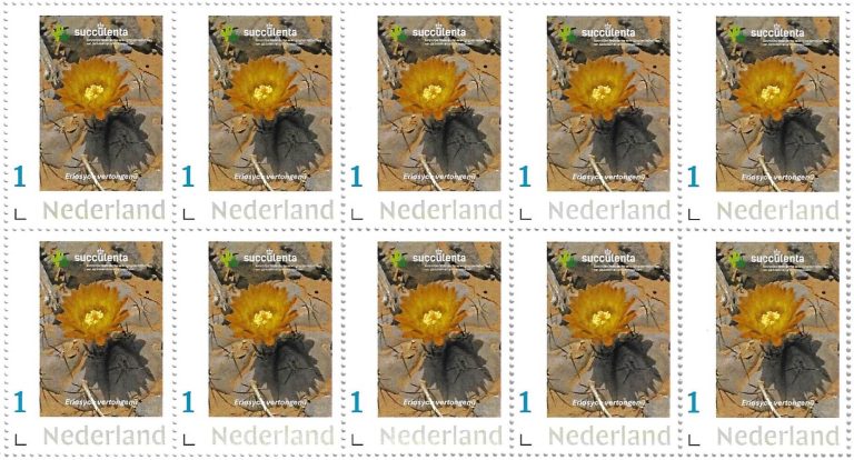 Succulenta postzegels 2025