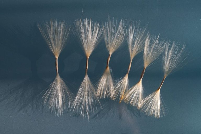 Zaadlijst 2023-2024 nu beschikbaar