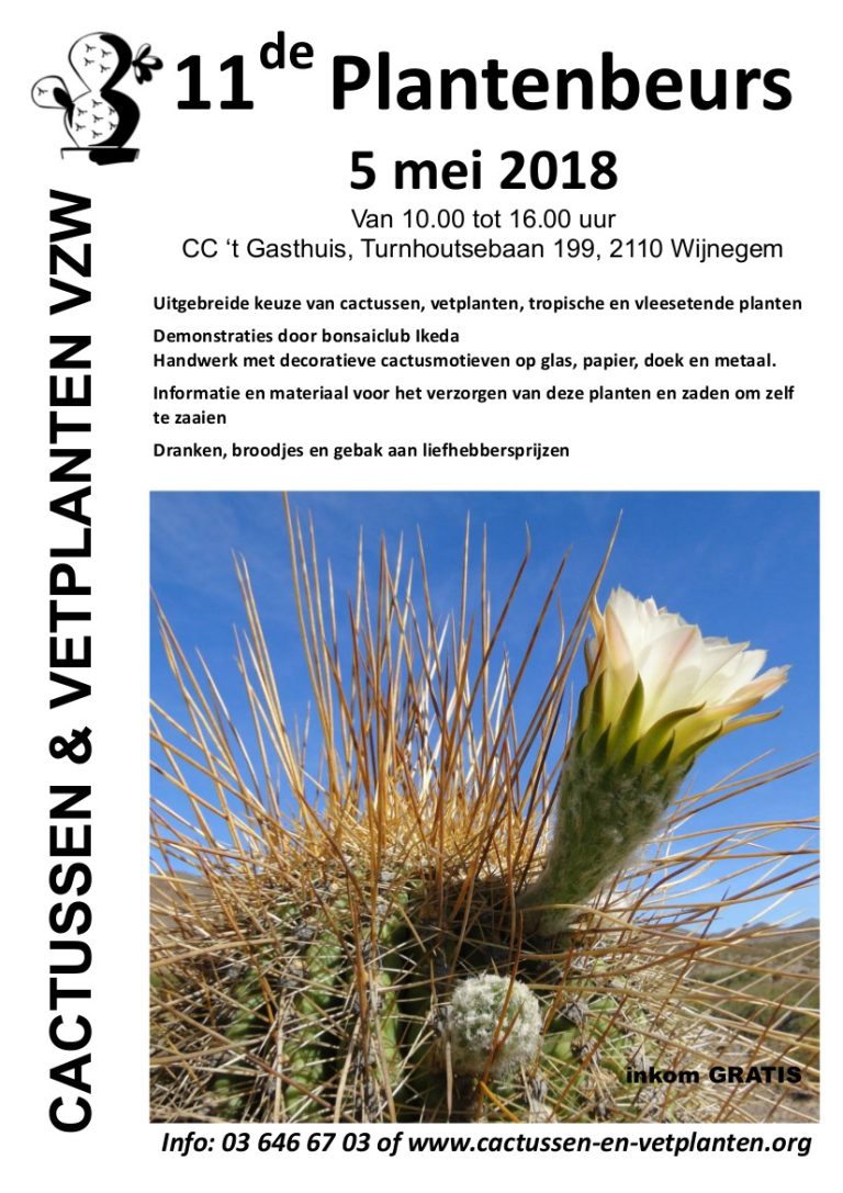 5 mei: beurs voor cactussen en vetplanten in Wijnegen (België)