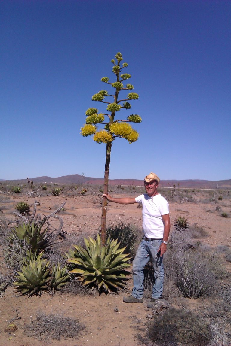 Nieuwe lezing van Wim Alsemgeest
