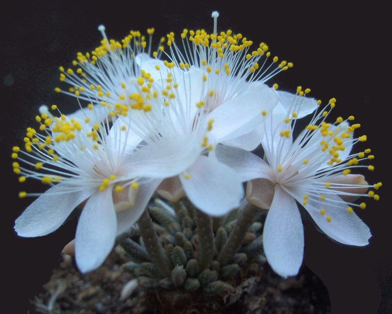 ELK 2024 ~ 13-14-15 september