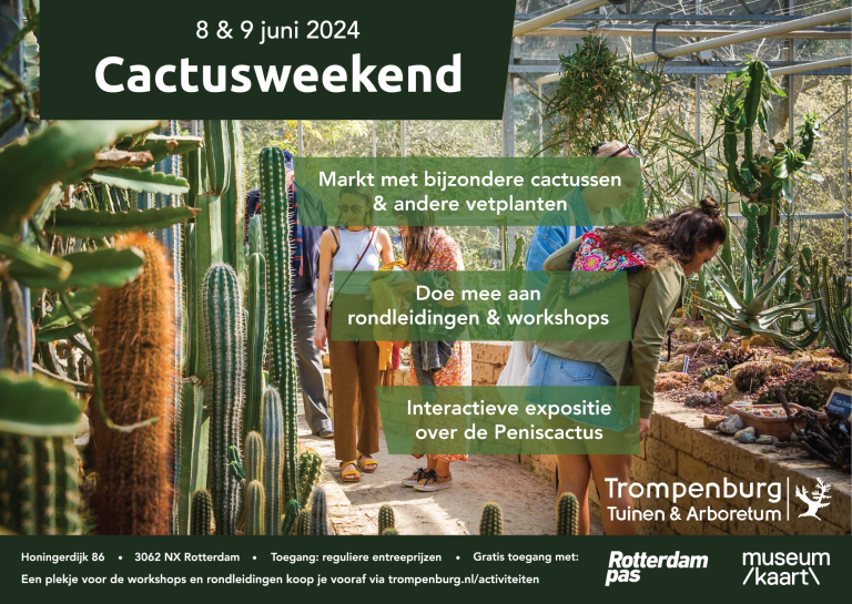 Cactusweekend @ Trompenburg