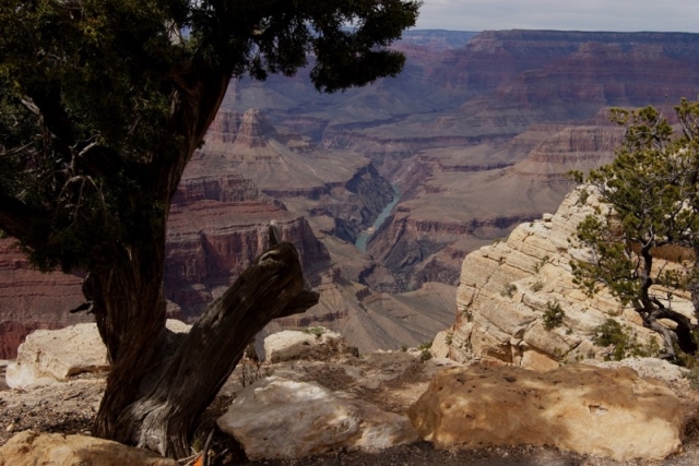 Grand Canyon
