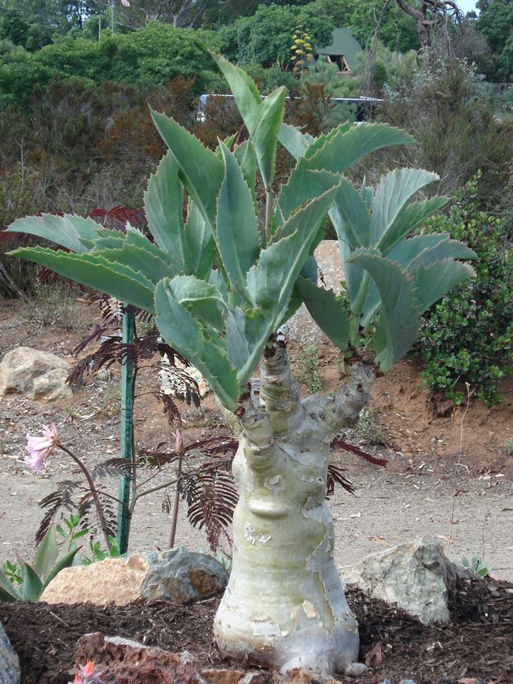 Mooie herinneringen op onze Facebook pagina