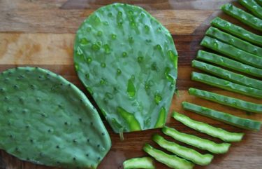 Groentestoofpot met kikkererwten en cactus