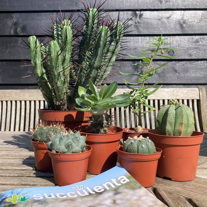 Niet met lege handen naar huis!