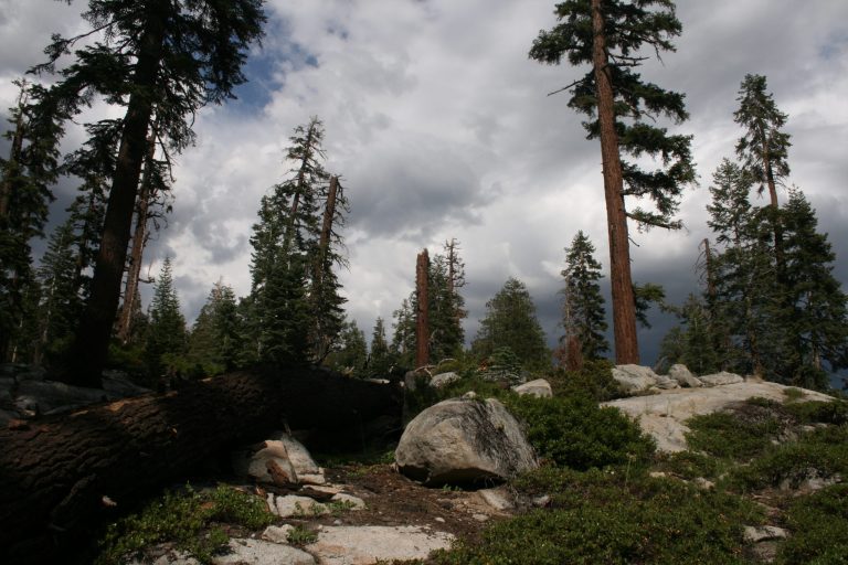 Yosemite National Park