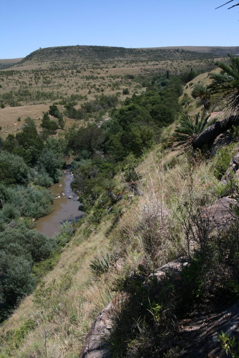 Je moet er wat voor over hebben om een plant te bekijken