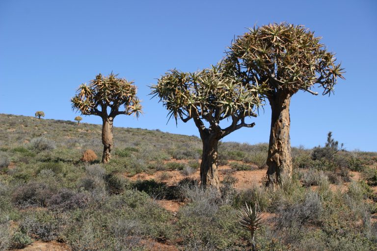 Op het verlanglijstje: Namibië
