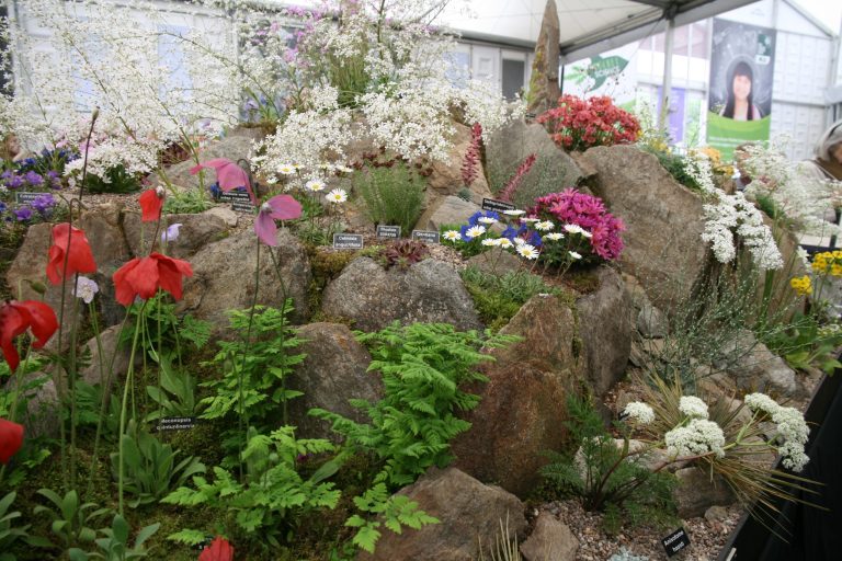 Chelsea Flower Show