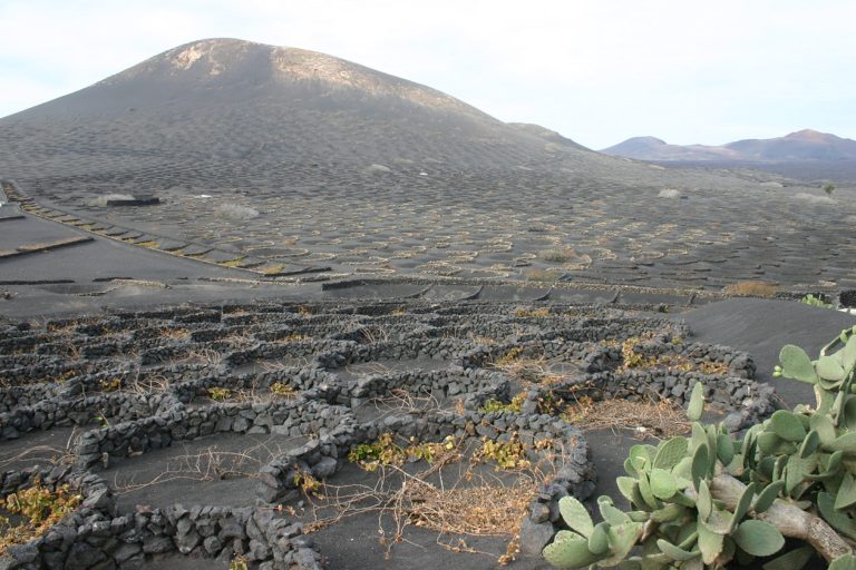 Forum uitgebreid met foto upload