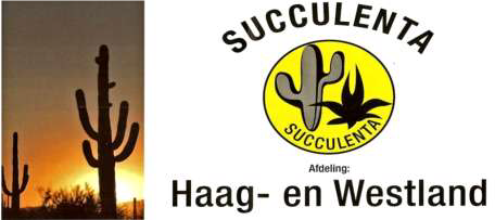 Bezoek op locatie