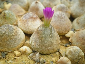 Klaar voor de start? [update 24 sept 2021]