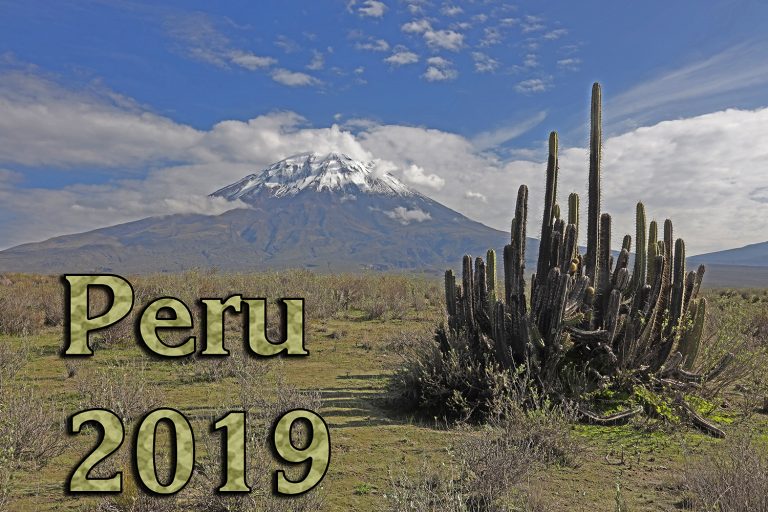 Nieuwe lezingen Andre Van Zuijlen
