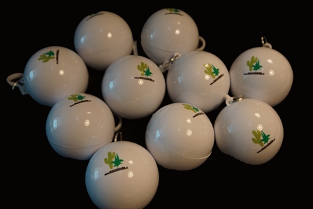 Regenponcho in bal met Succulenta logo