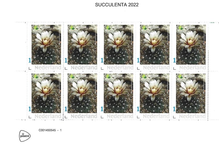 De Succulenta postzegels 2022 zijn gearriveerd!
