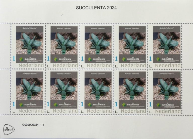 Succulenta postzegels 2024