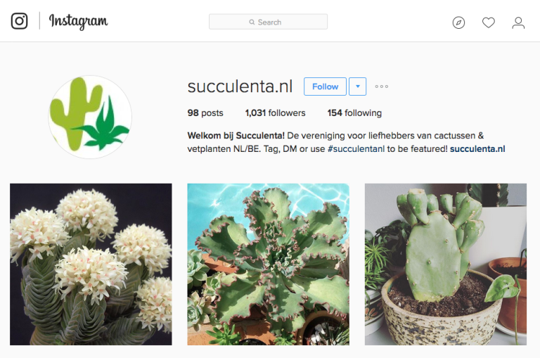 Al meer dan 1000 volgers op Instagram!!