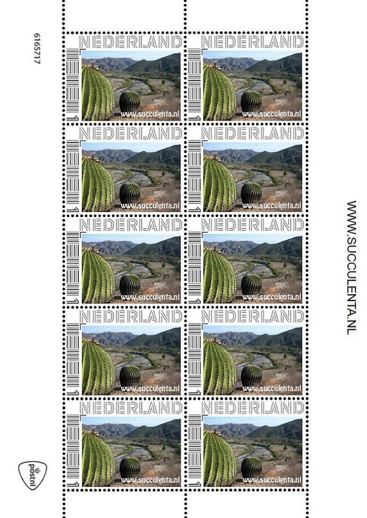 Succulenta heeft een nieuwe cactuspostzegel uitgegeven!