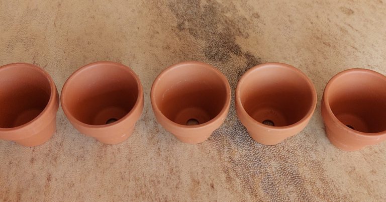 Zaadlijst 2026 is er!