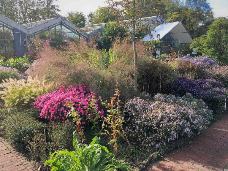 14 en 15 september: open monumentendagen in de Botanische Tuin Zuidas