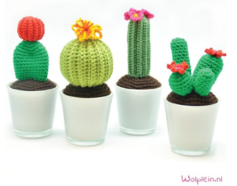 Cactus haken