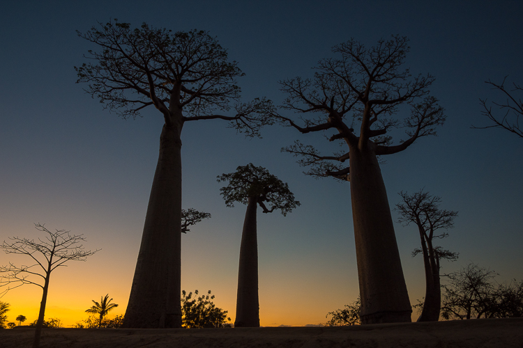 Nieuwe lezingen van Wiebe Bosma
