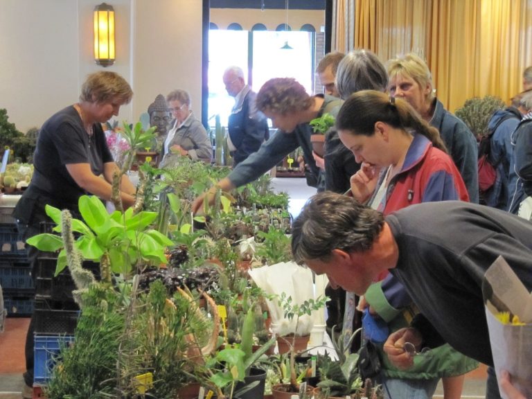Bijzondere plantenmarkt op 19 juni in Nijmegen