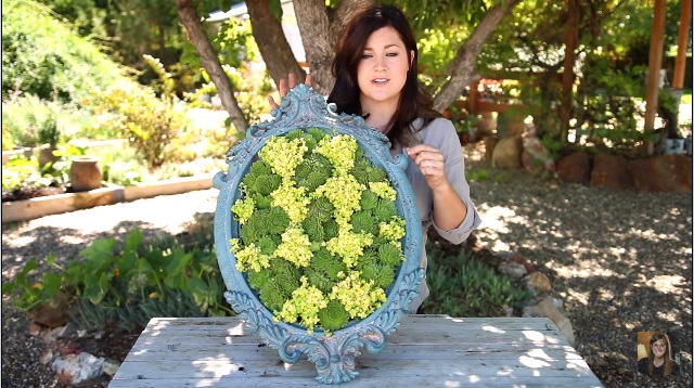 lijst met succulenten arangement