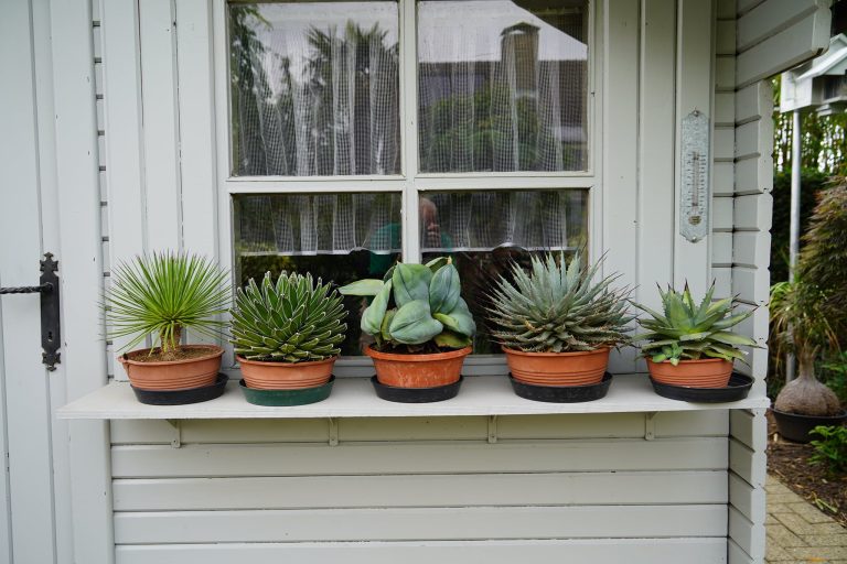 Opendeurdagen België: fotoverslagje