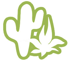 ALV 2021: jubilarissen