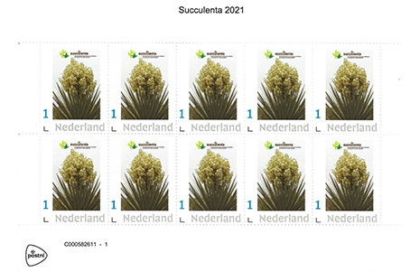 De Succulenta postzegels 2021 zijn er!