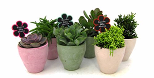 De kunst der planten