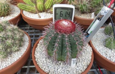 Een vochtmeter zelf maken