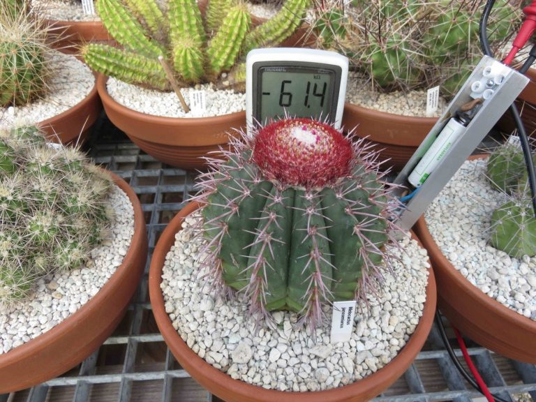 Een vochtmeter zelf maken