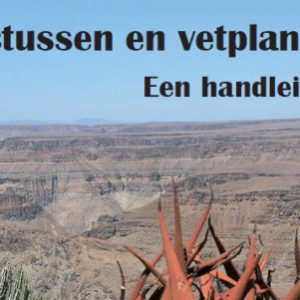 Cactussen en vetplanten; een handleiding